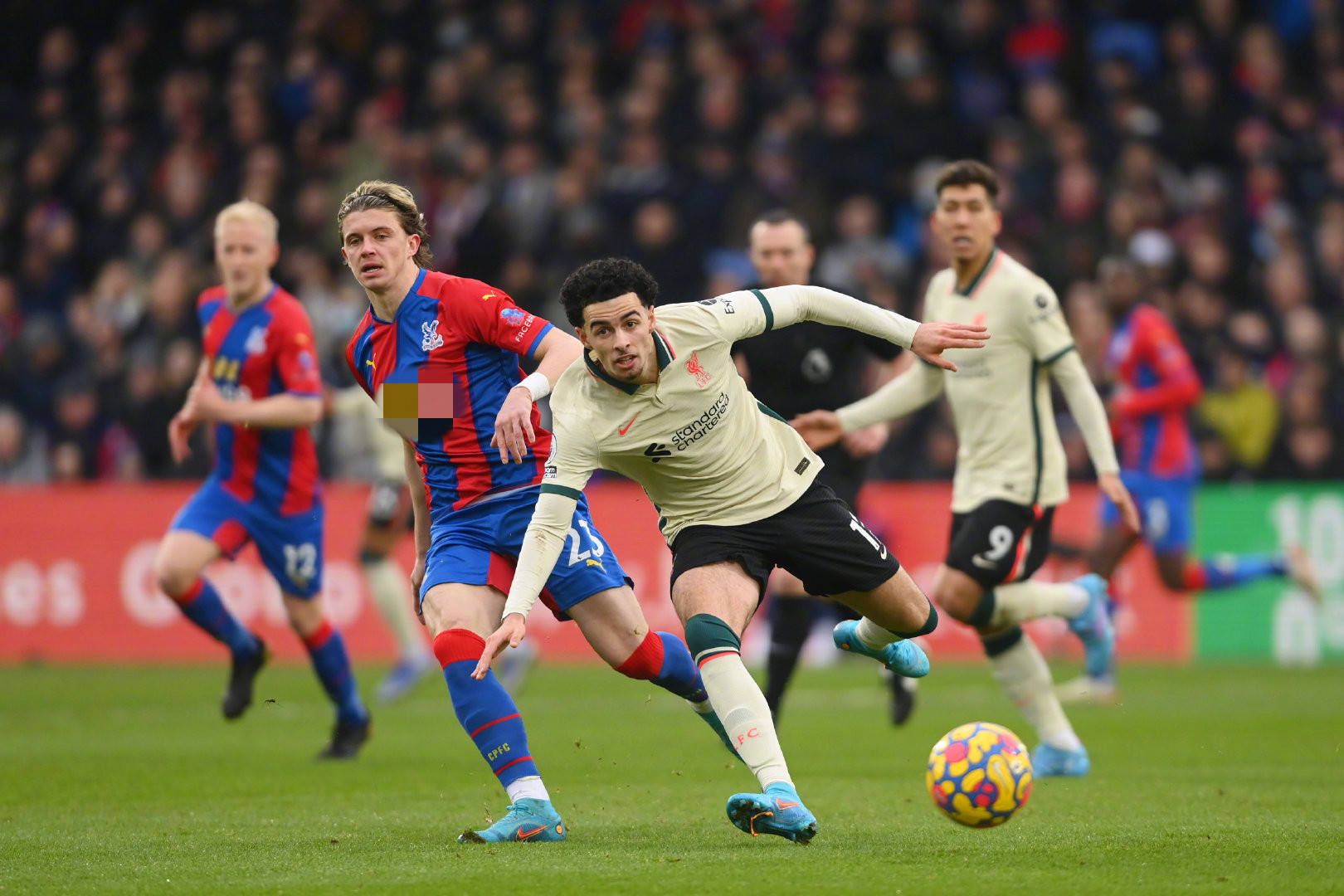 怀疑他的决 怀疑他的决